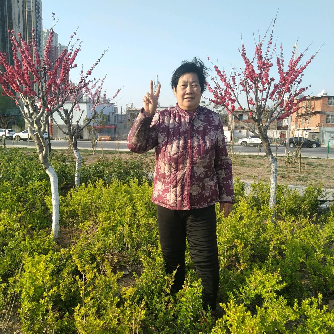 上善若水