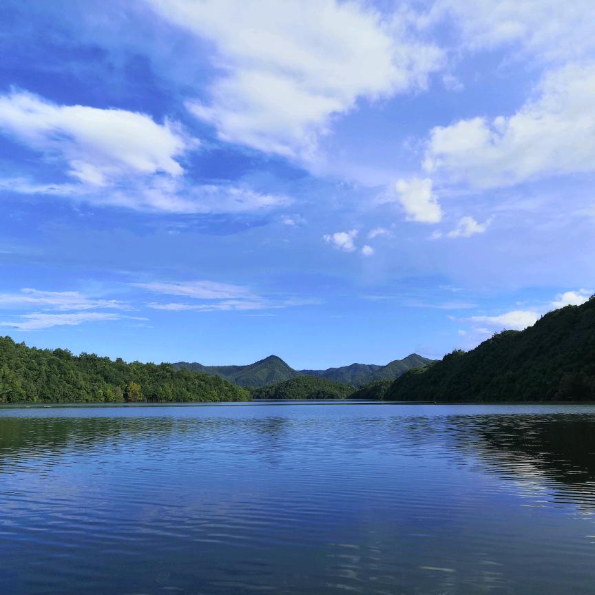 吾因俗世恋红尘