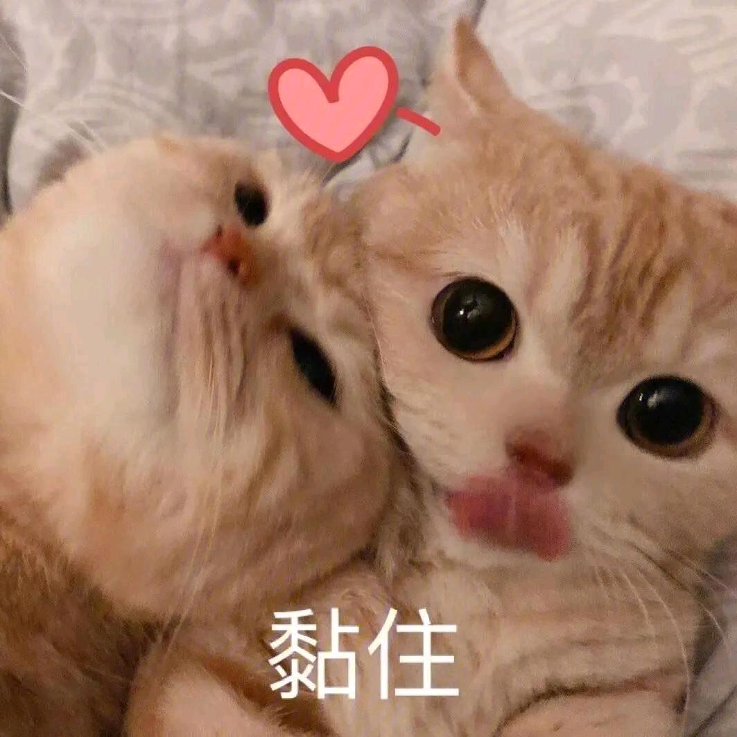 豆苗玩游戏