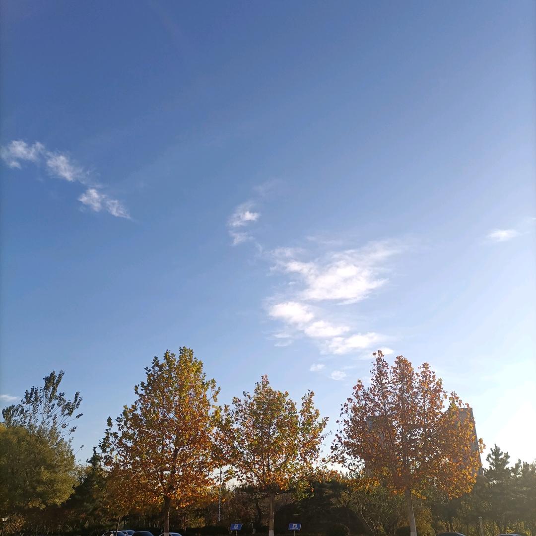 阳光里