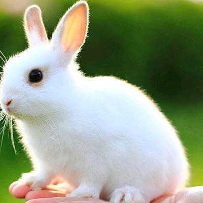 金丝雀建筑装饰工程有限公司