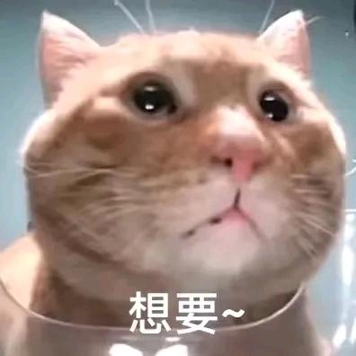 玛卡巴卡
