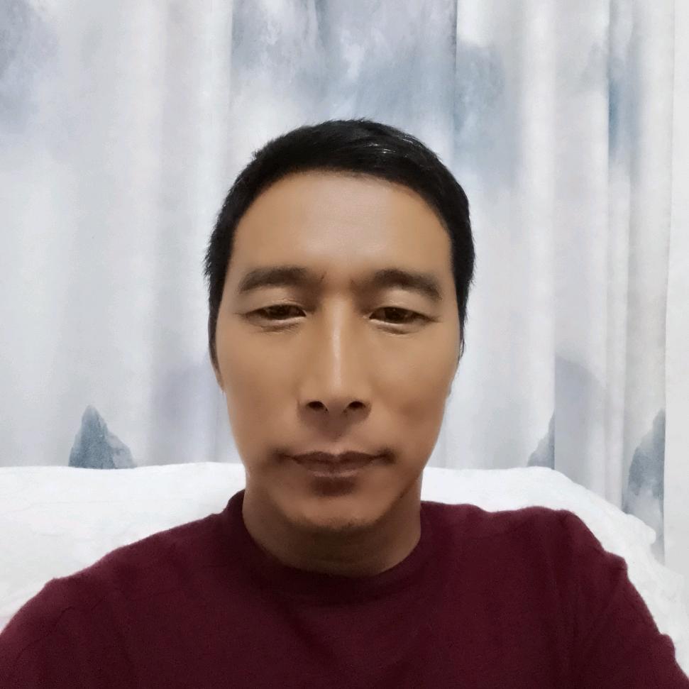 飞鸽送喜