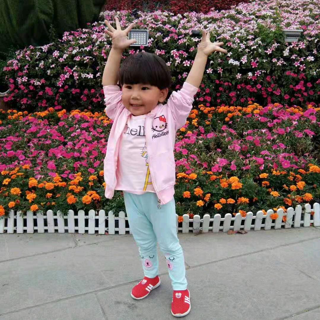 美丽的花🌺