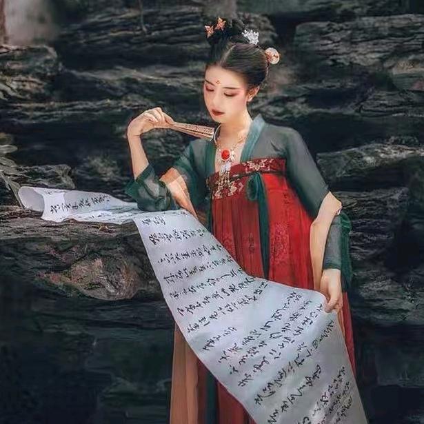 晴空飞雁（婉宁）