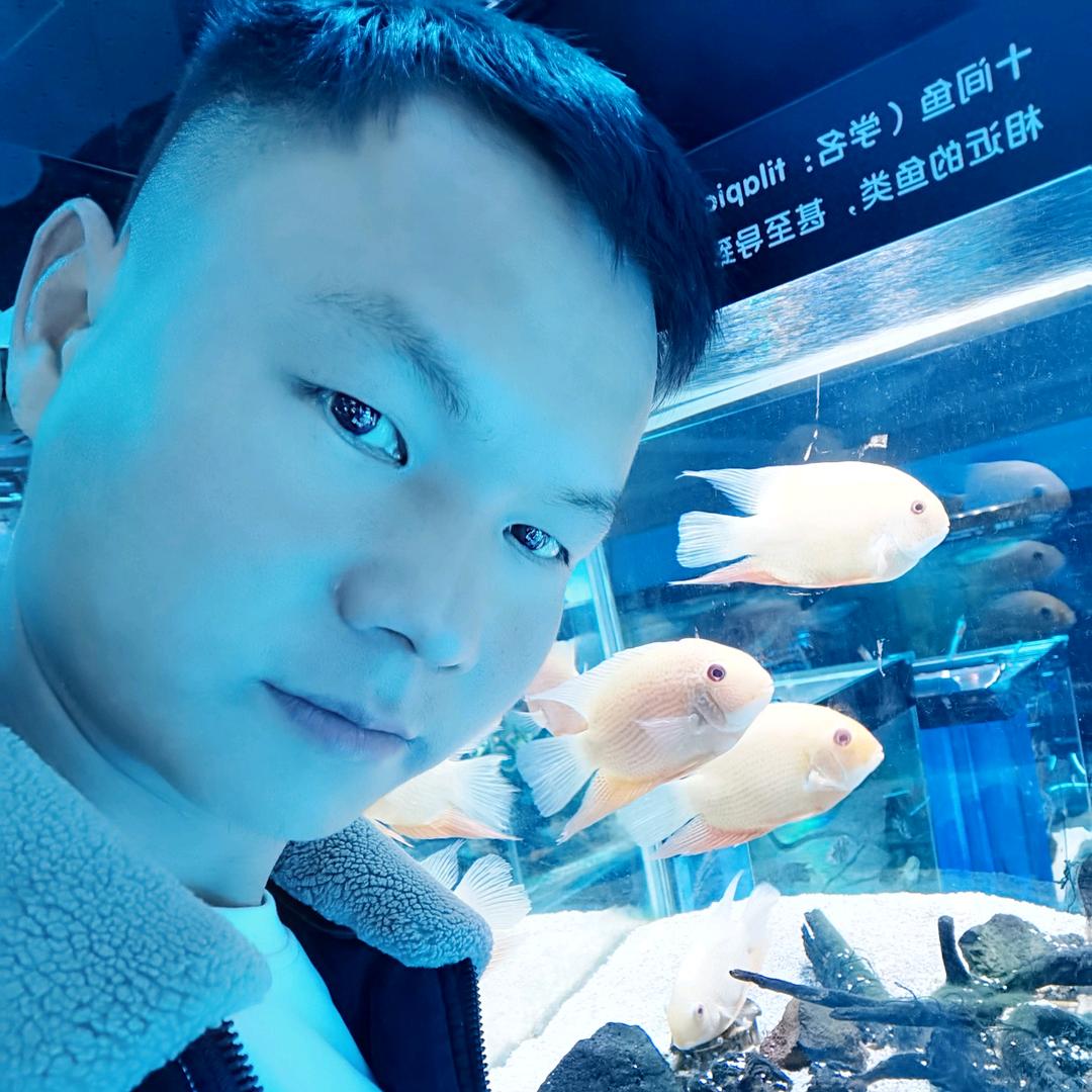 叾屾“”