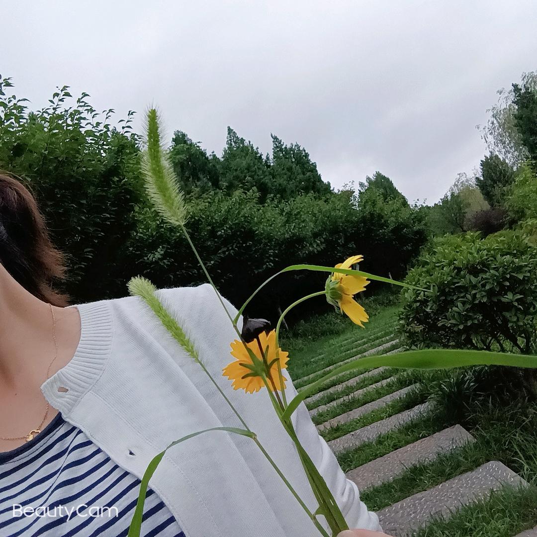 风的方向