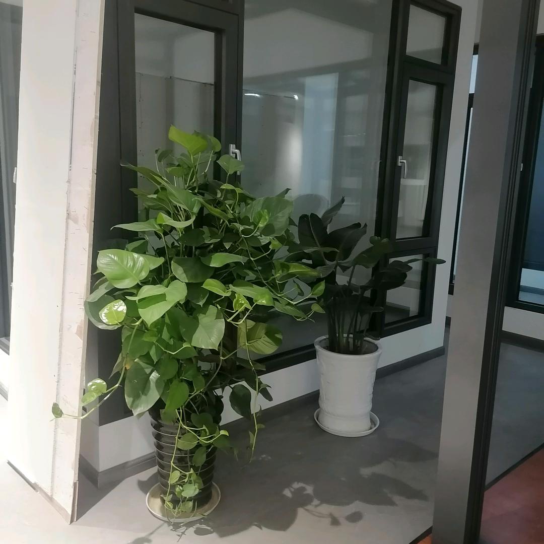 高端门窗。黄哥。