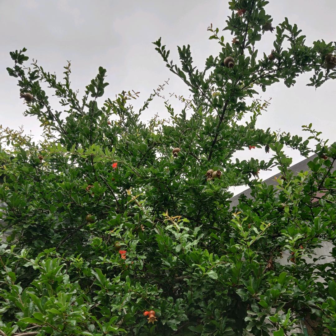 💋欣-航♥妈妈💫