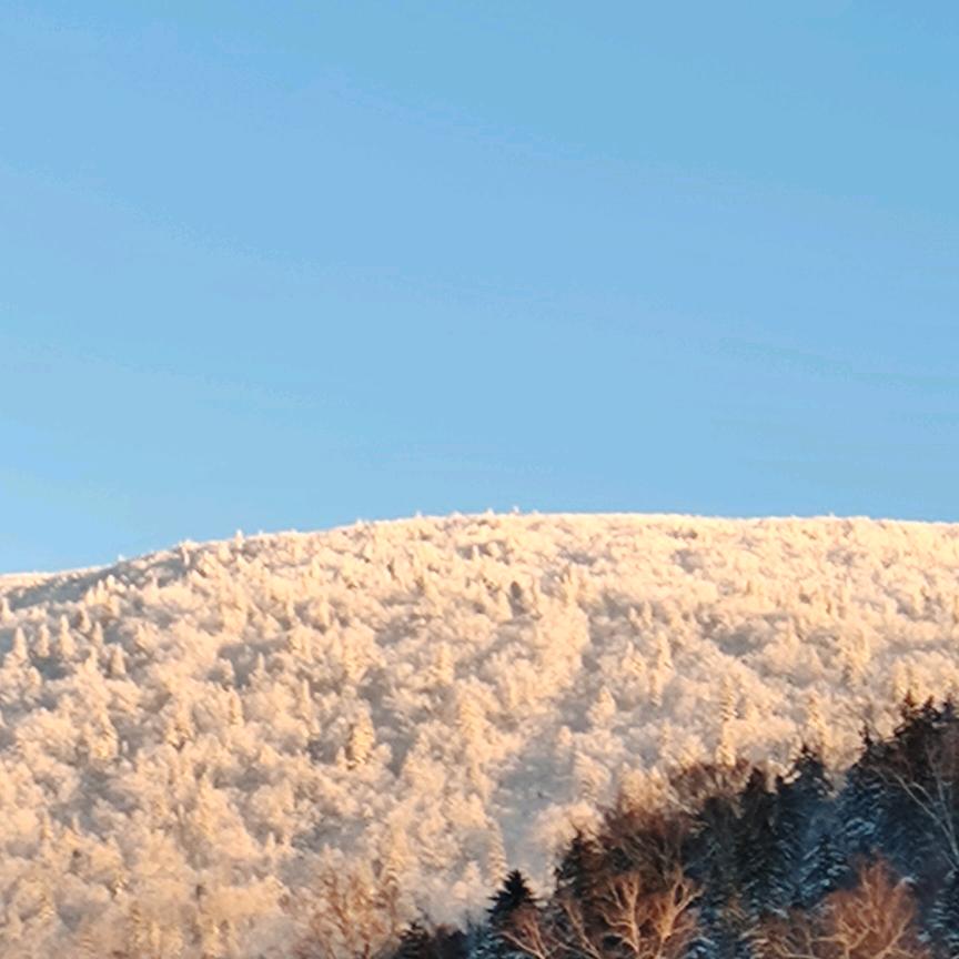 中国雪谷旅游