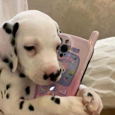 关东煮小熊仔🐻