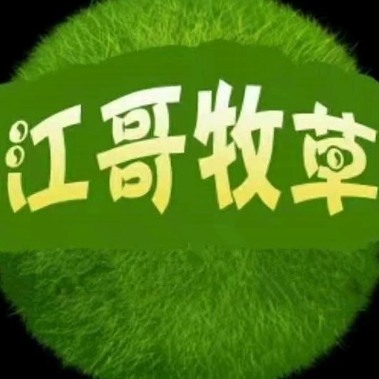 江哥牧草农业科技示范园