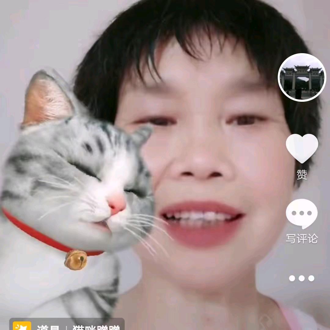 不识字不能回复