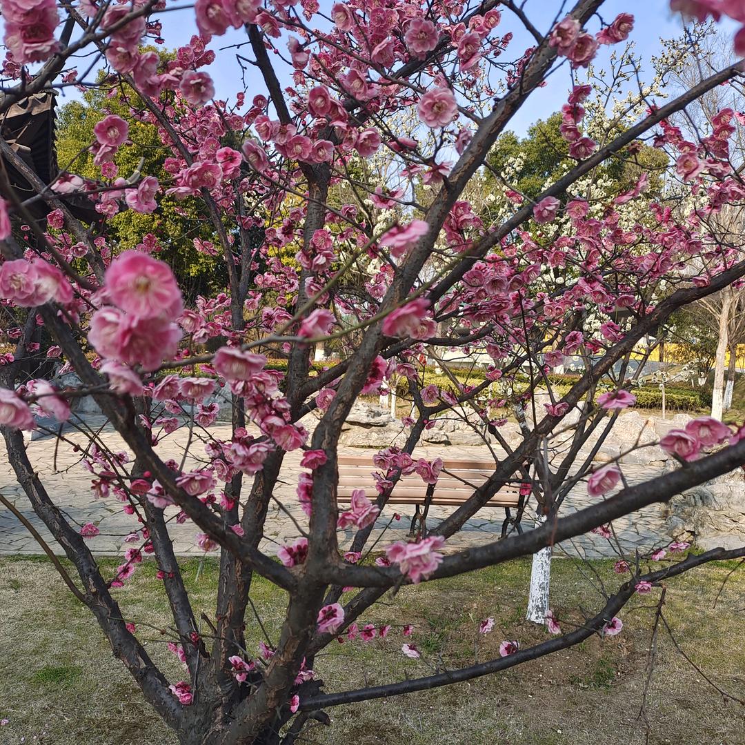 用户4487750317028浦口区汤泉