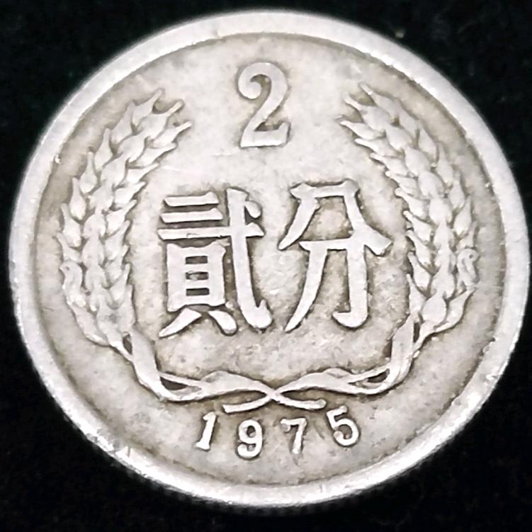 派哥收藏