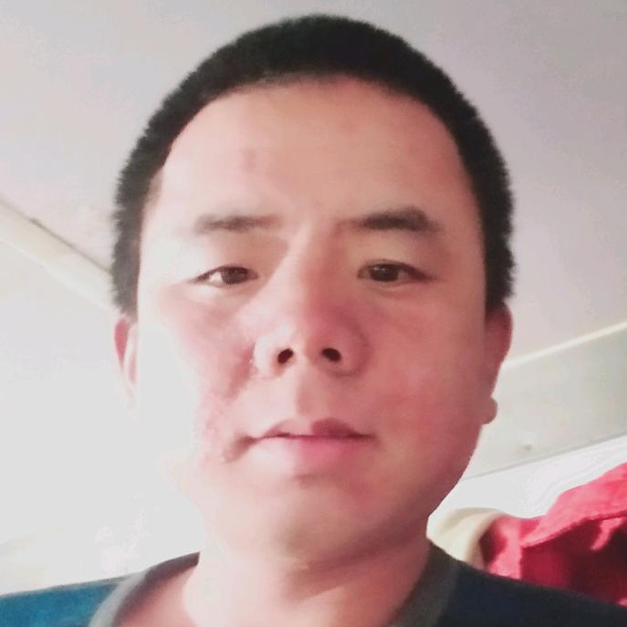 金乌村的左辰夜头像