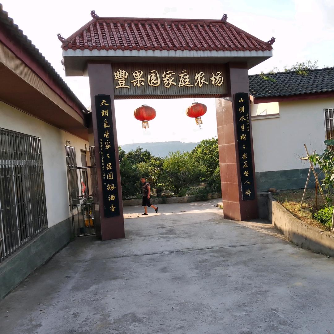 丰果园家庭农场