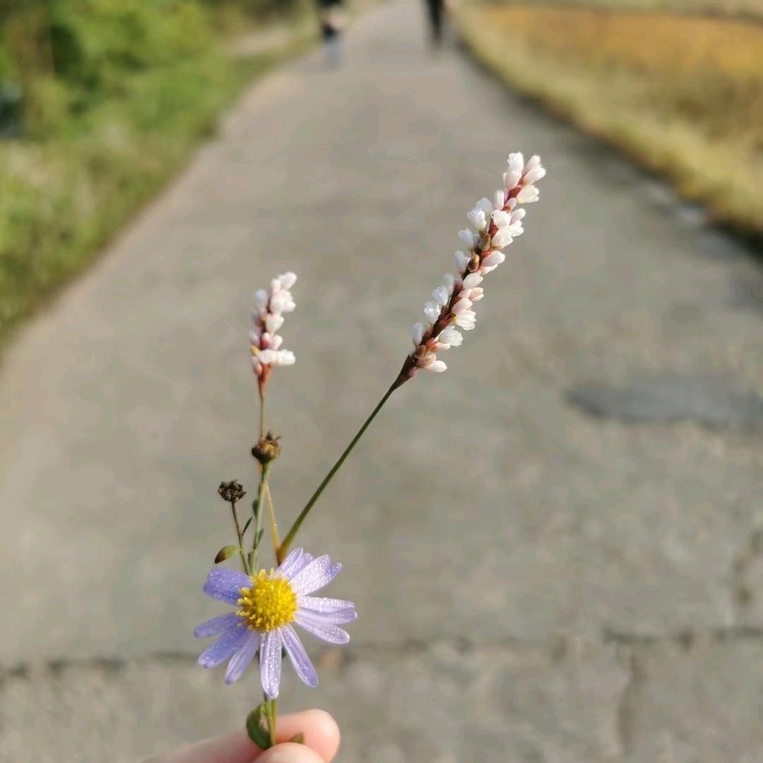 🌈🌈小小太阳