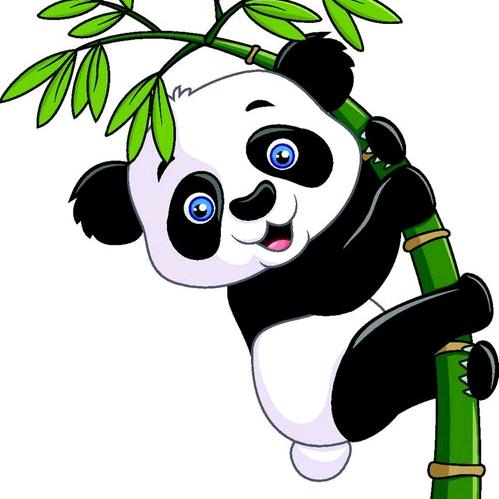 快乐大本营🐻