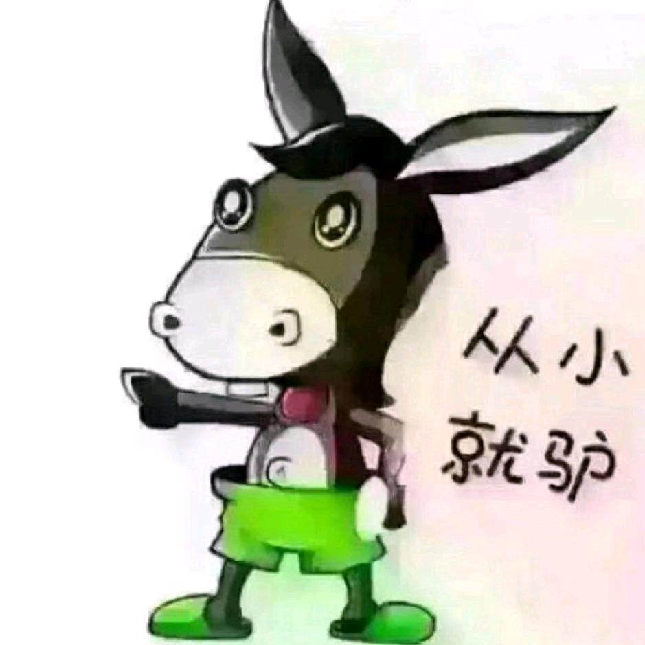 小驴驴