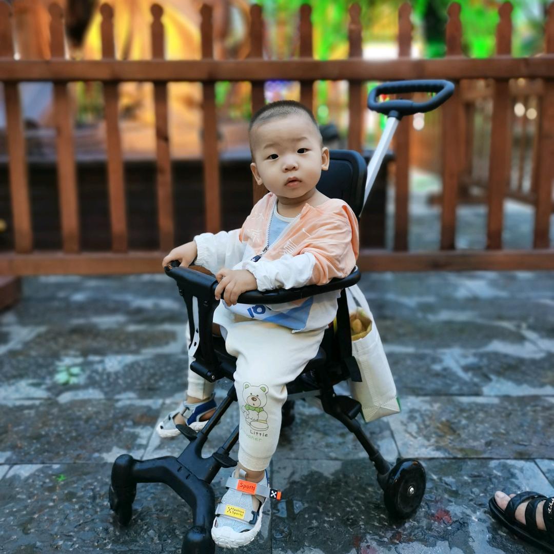 聚福小马