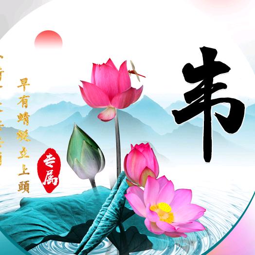 韦姐