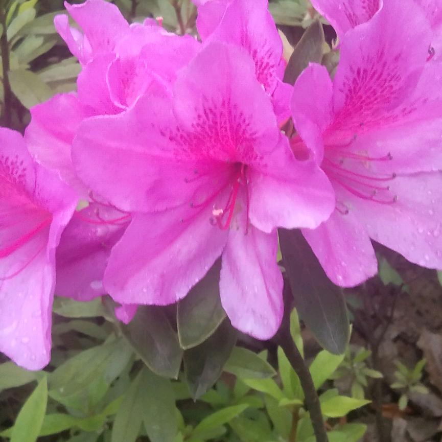 别拿真❤️给错人🌹