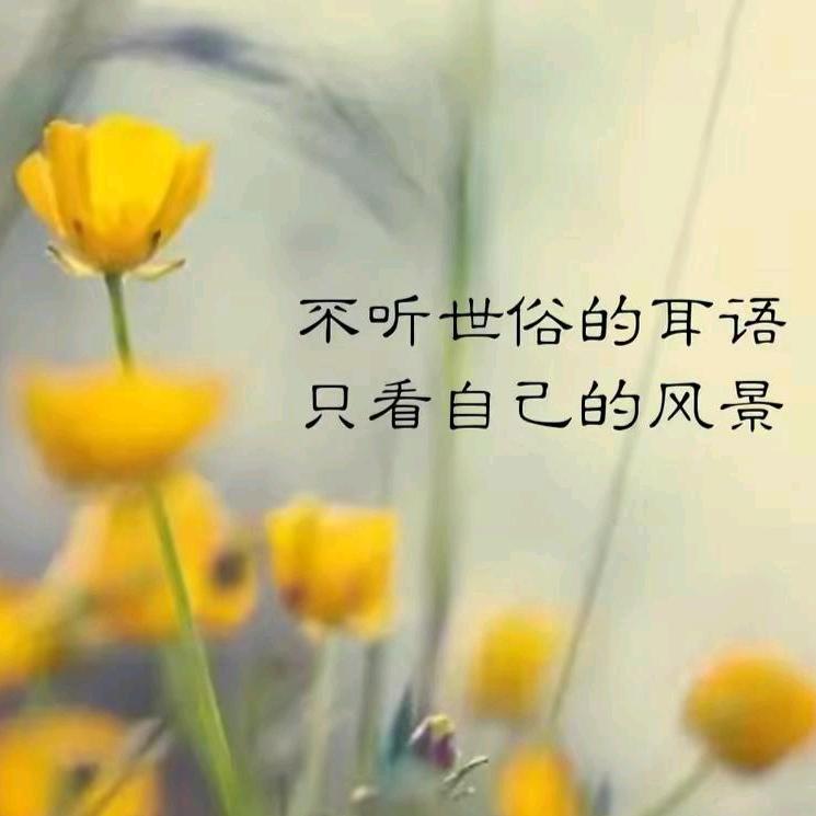 晚秋娇阳头像
