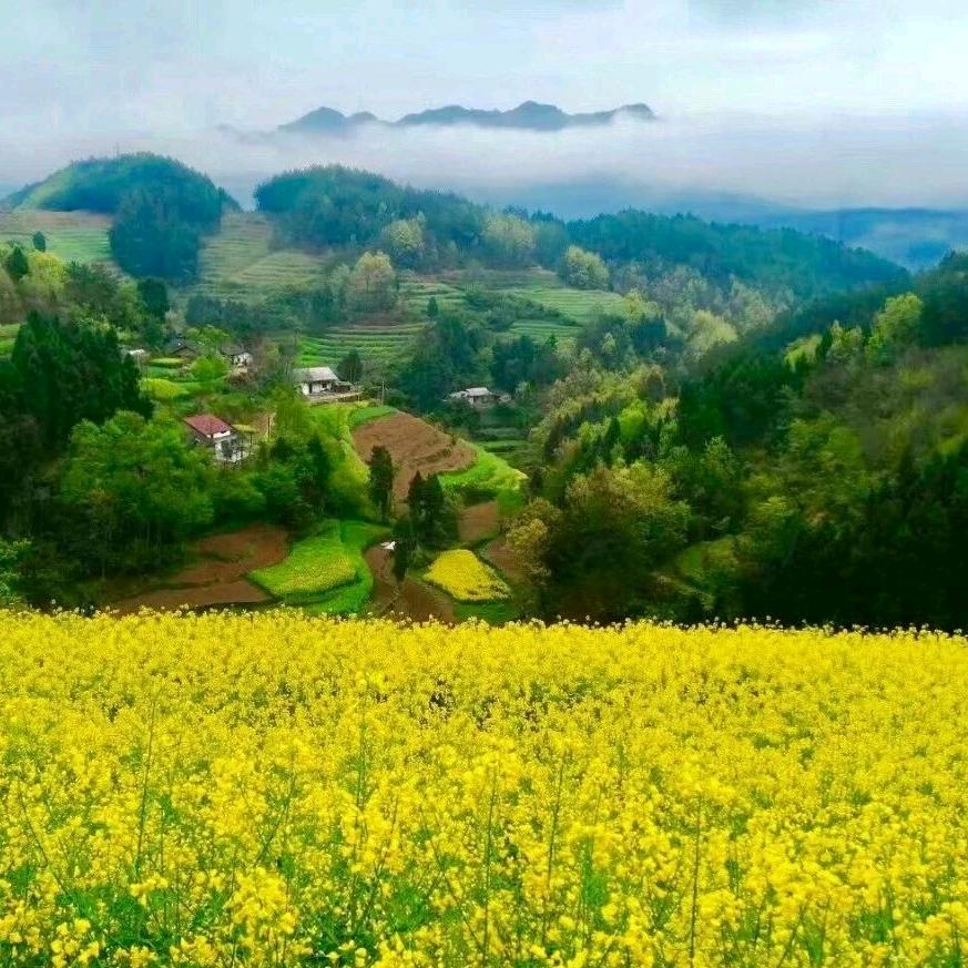 隨遇而安