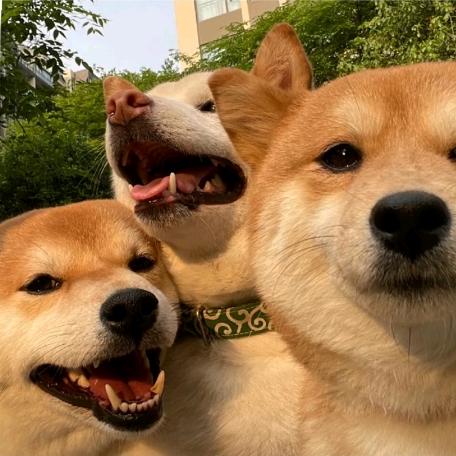 最烦起名字