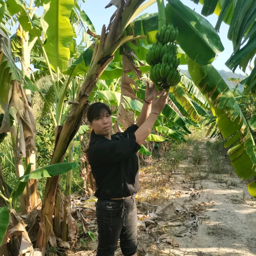 四菇娘💃🏾老四🐎