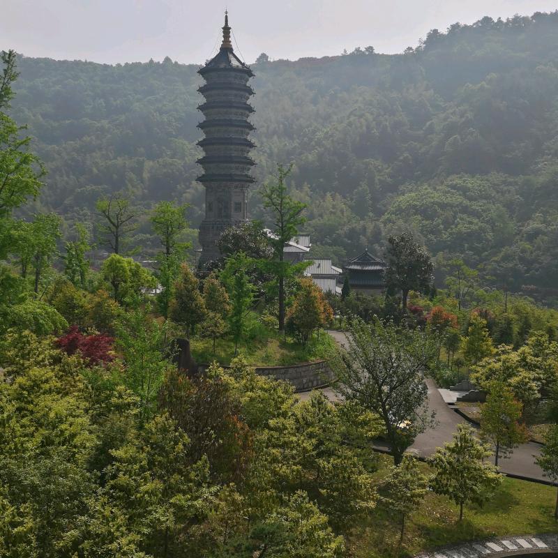 梦想哥哥