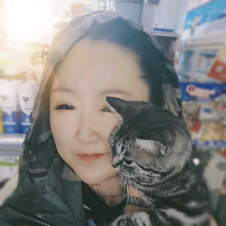 晶毛十八