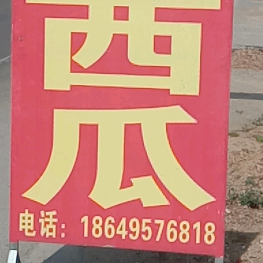 老杨西瓜🍉🍉🍉🍉