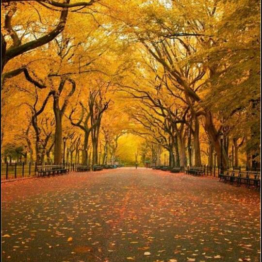 华仔…相由心生