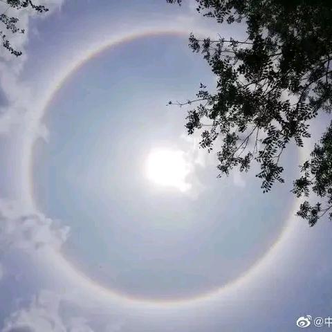 凡心大动🎵
