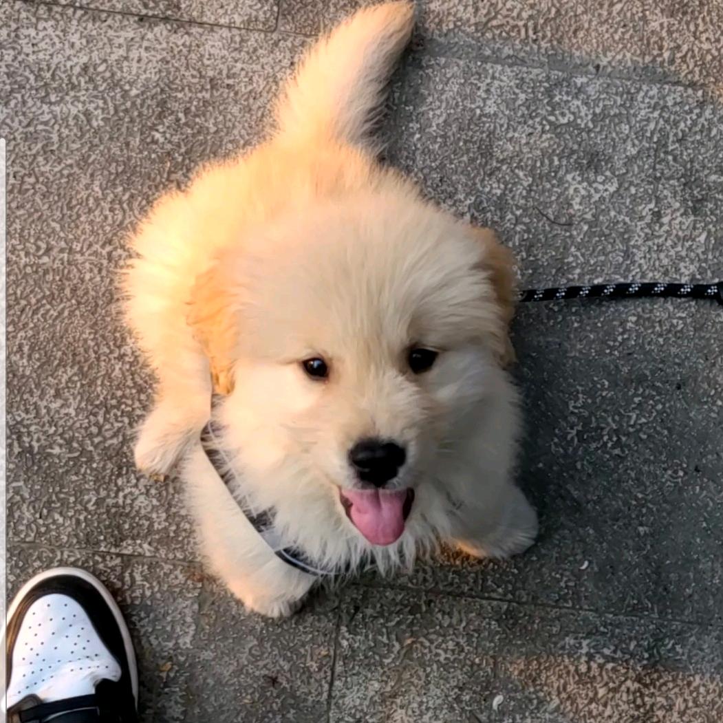 小哆啦