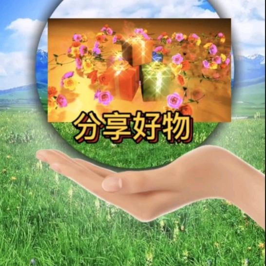 英姐精选好物