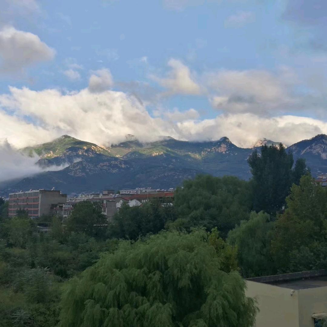 贵合商贸-抽纸 卫生纸批发