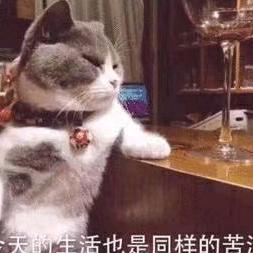 雾里涛涛