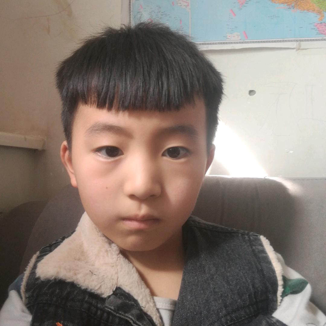 李卫辰