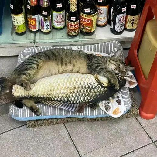 酒肆一醉客（打蛋器）