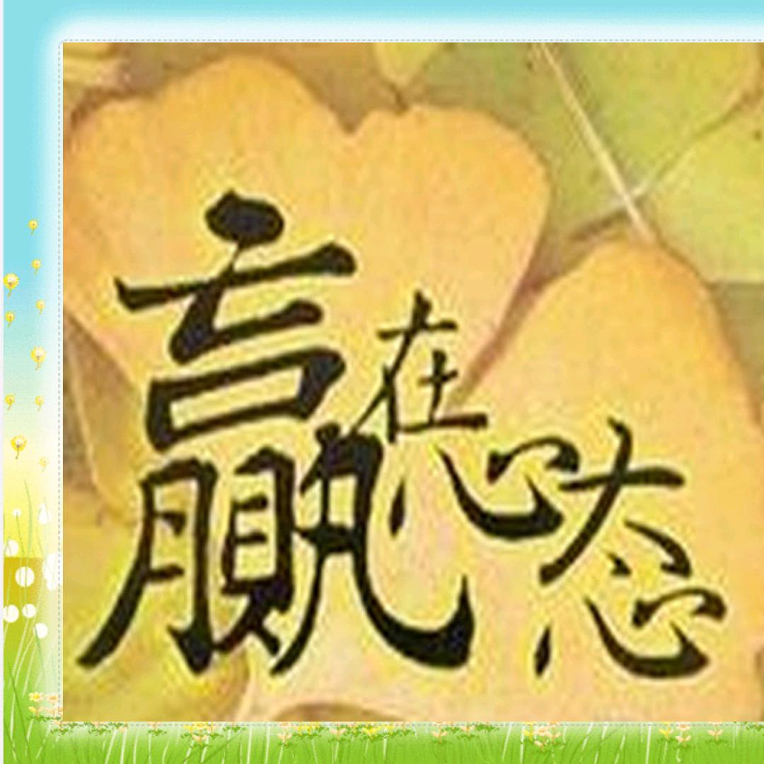 宝贝