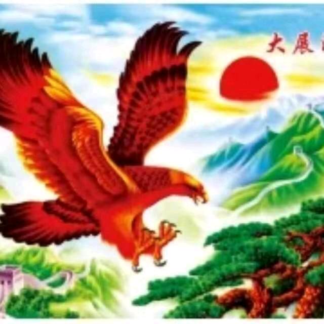 大鹏展翅