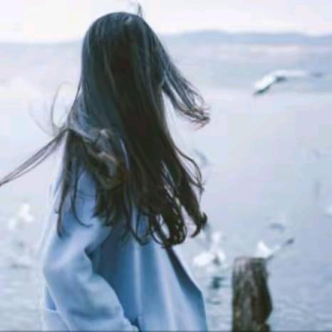 佰宝萱节日礼物严选