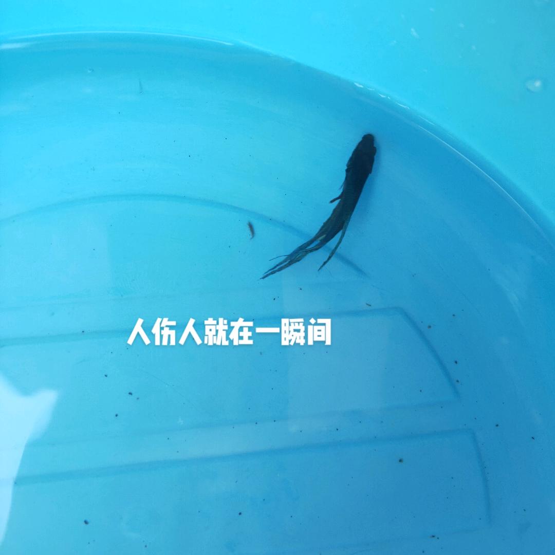 @一笑奈何………谢绝连赞👍?