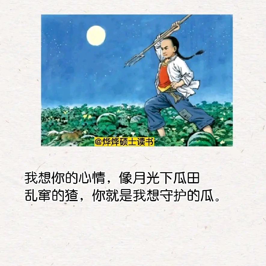 猫大哥