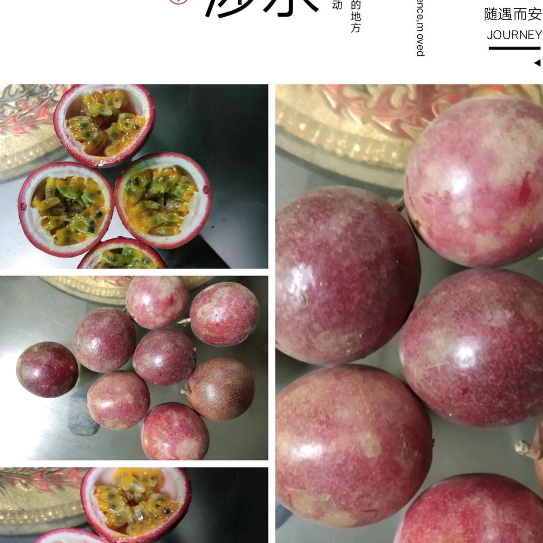 赵哥