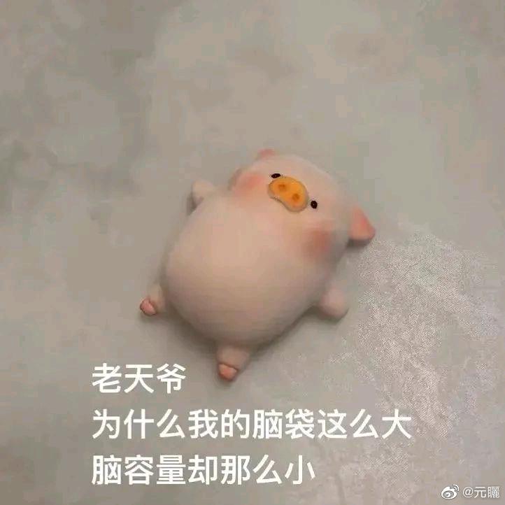 累了想退休头像