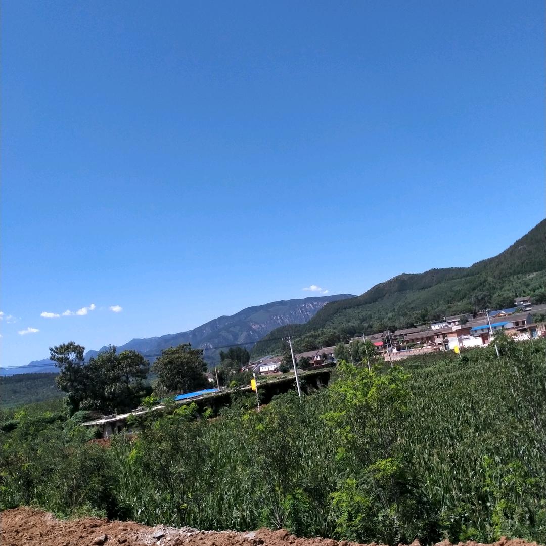 赵家小妞